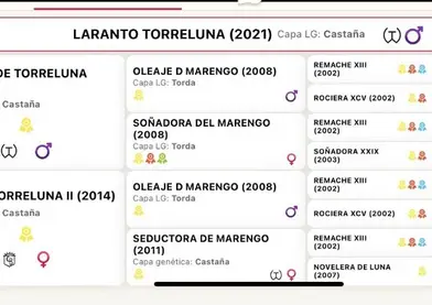 SEMENTAL PRE LARANTO TORRELUNA 171cm 2025